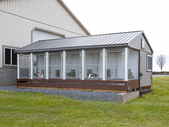 Modern outdoor dog kennels attached to a large light-colored building, green grass.