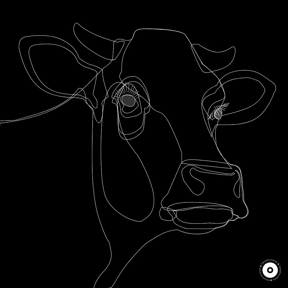 Miniatyrbilde: Mr. Bull