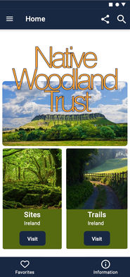 The link to the high fidelity prototype.