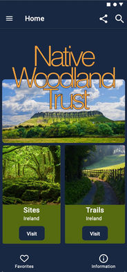 The link to the high fidelity prototype.