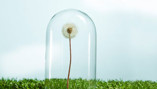 7 Survival Skills for the Highly Sensitive