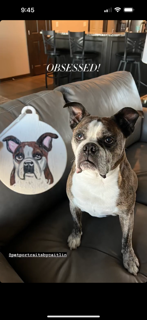 custom hand painted pet portrait ornament