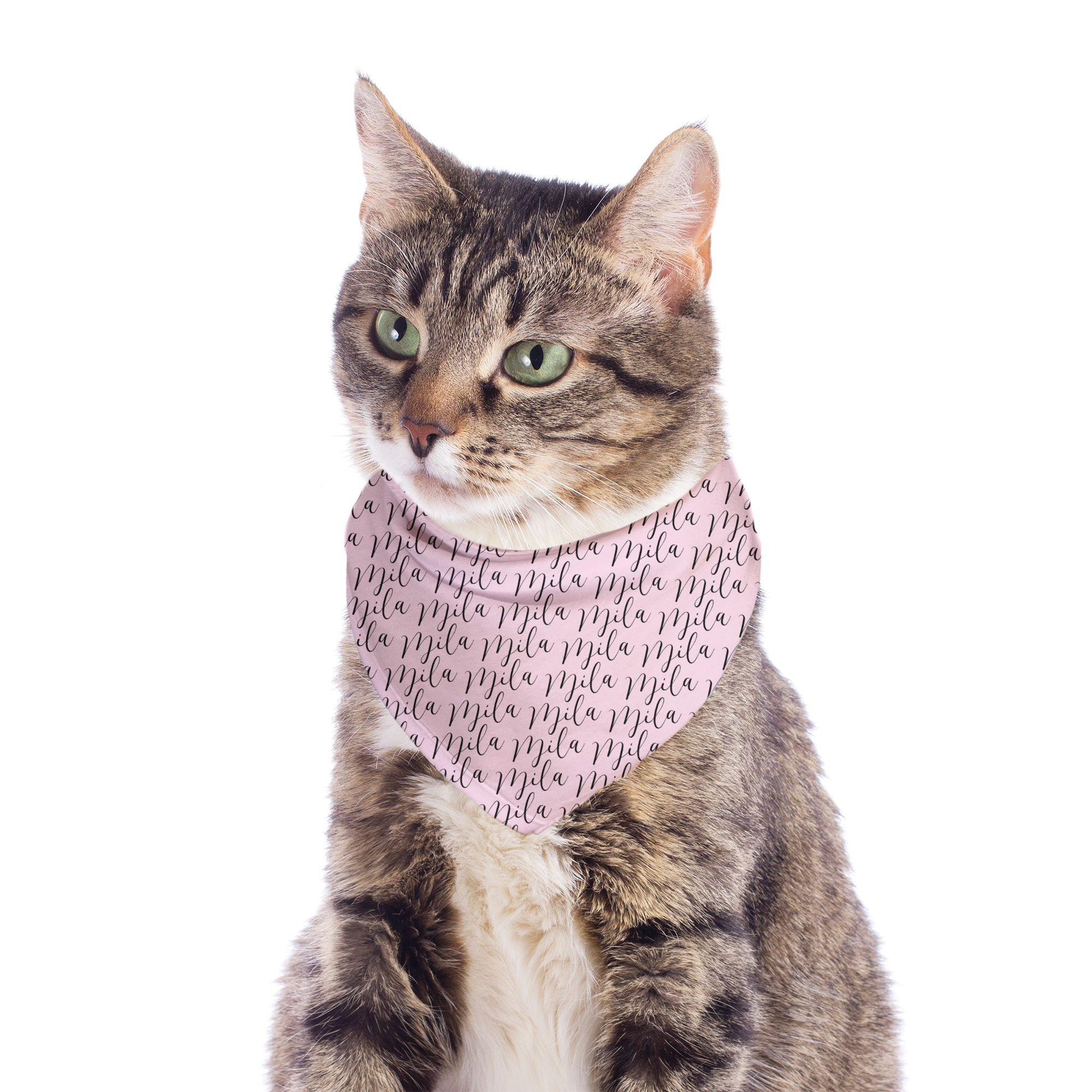Small Breed Name Pattern Bandana