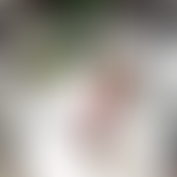 Foster a Strong Partnership with Your Marketing Agency