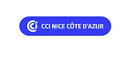 Logo_CCINCA 2019_RVB-CS5_page-0002.jpg