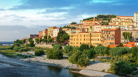 maximuscci - Adobe Stock.png