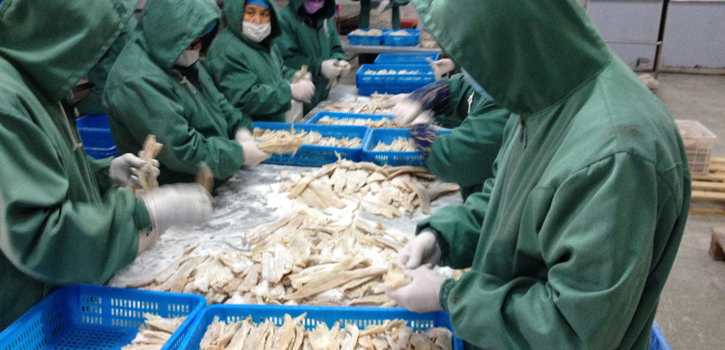 Cod Inspection 9.jpg