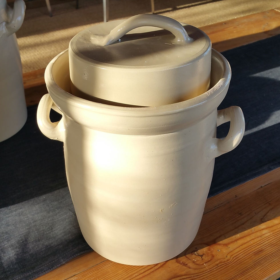 Miniature : JARRE DE FERMENTATION 6L