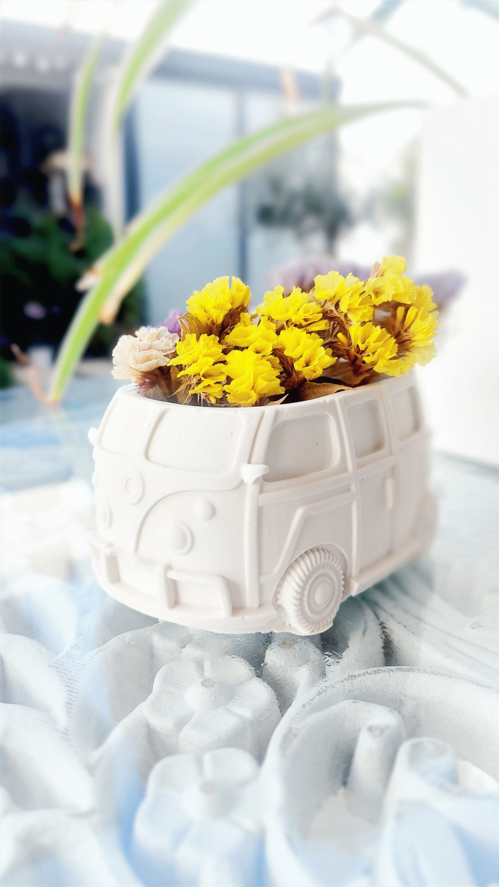 Carrinha Pão de Forma