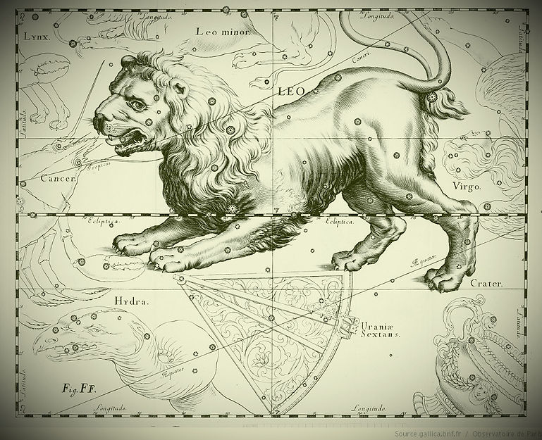 Lion Leo Constellation Hevelius Jean-Brice GAYET Ciel de nuit