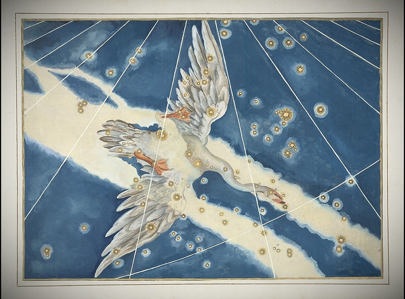 Johann Bayer Cygnus, le cygne, constellation, Ciel de Nuit, Jean-Brice Gayet