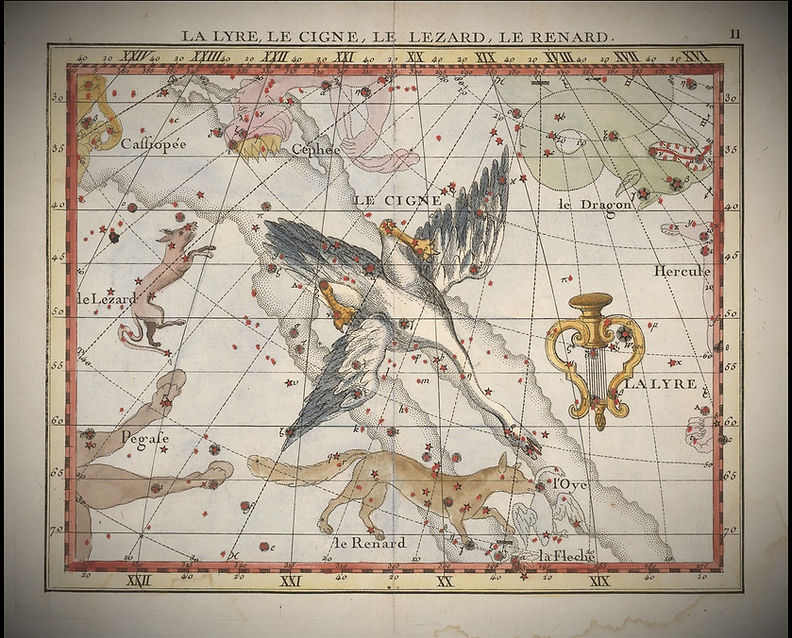Vulpecula, Fortin, Ciel de Nuit, Constellation, Jean-Brice GAYET