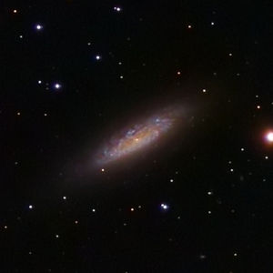 NGC 6503 est une galaxie naine spirale située au bord d'une région de l'espace appelée le Vide Local.