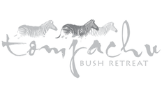 logo1.png