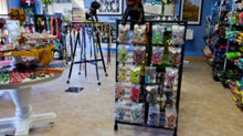 Thanks Pet Naturals of Vermont for making us your Store of the Month!