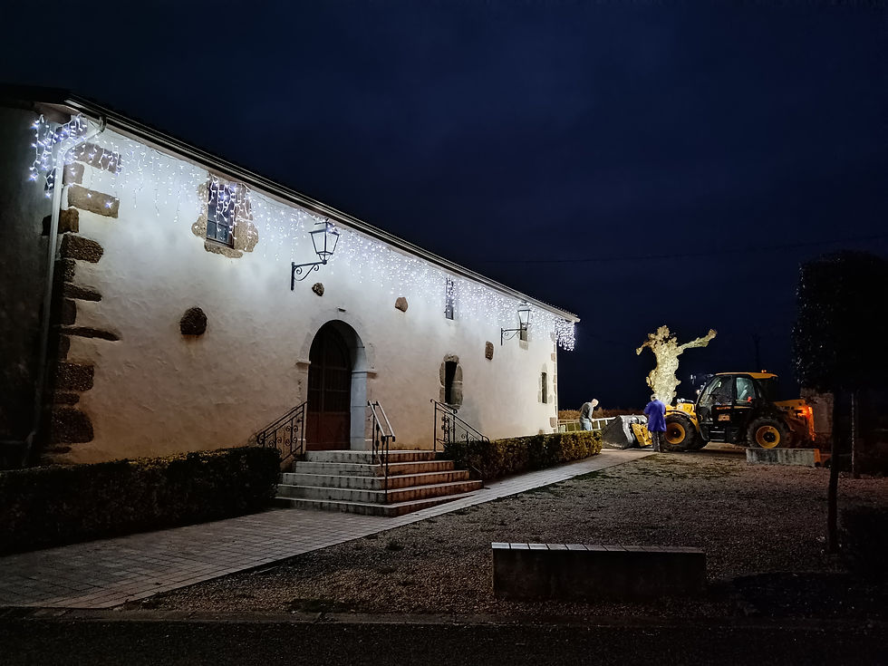 St-G Guirlandes (23)