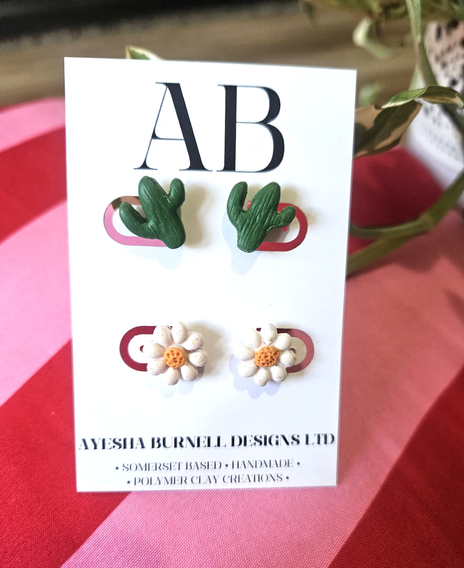 Bold in Small Doses (2 pairs)