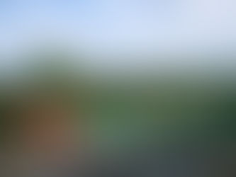¿Dónde hospedarse para visitar RECUCA en el Quindío?