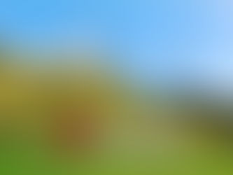 ¿Dónde hospedarse para visitar Salento y el Valle de Cocora?