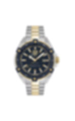 Two Tone Quartz Watch PSFDA0824