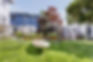 backyard master.jpeg