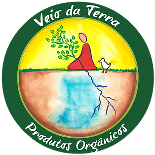Veio