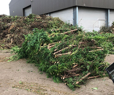 Do we take away the waste after tree, hedge and garden work? Learn how Dragonfly handles suitable green waste and what waste removal can include.
