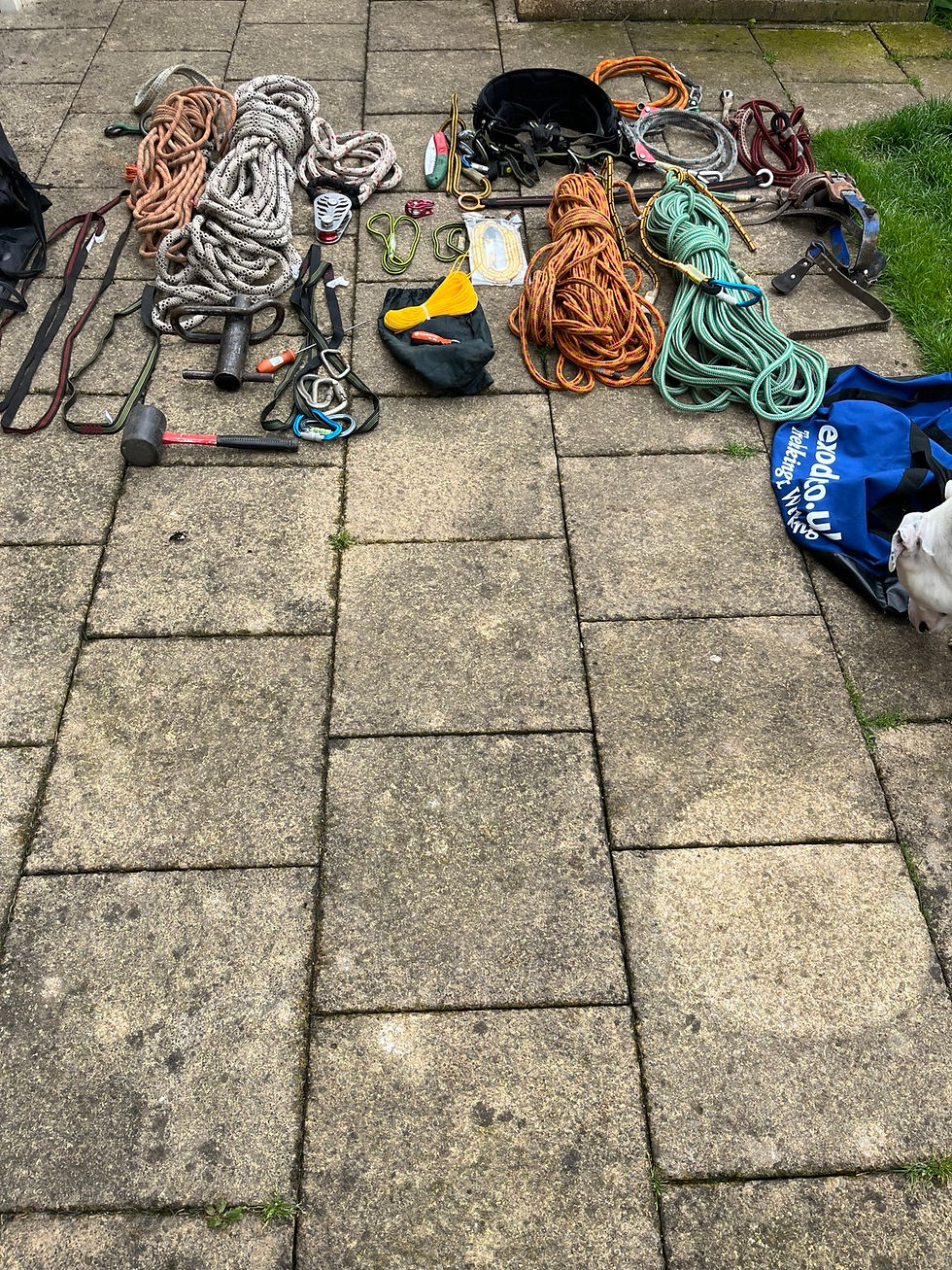Tree surgeon Cannock.jpeg