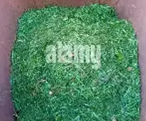 Wet grass can make a garden waste bin surprisingly heavy. Learn why grass compacts, why bins can become overweight and what to do if yours cannot be emptied.