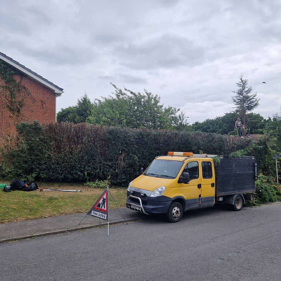 Hedge cutting in Cannock.JPG