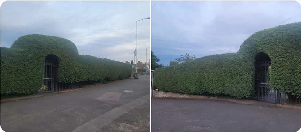 Penkridge Hedge Cutting Arch.png