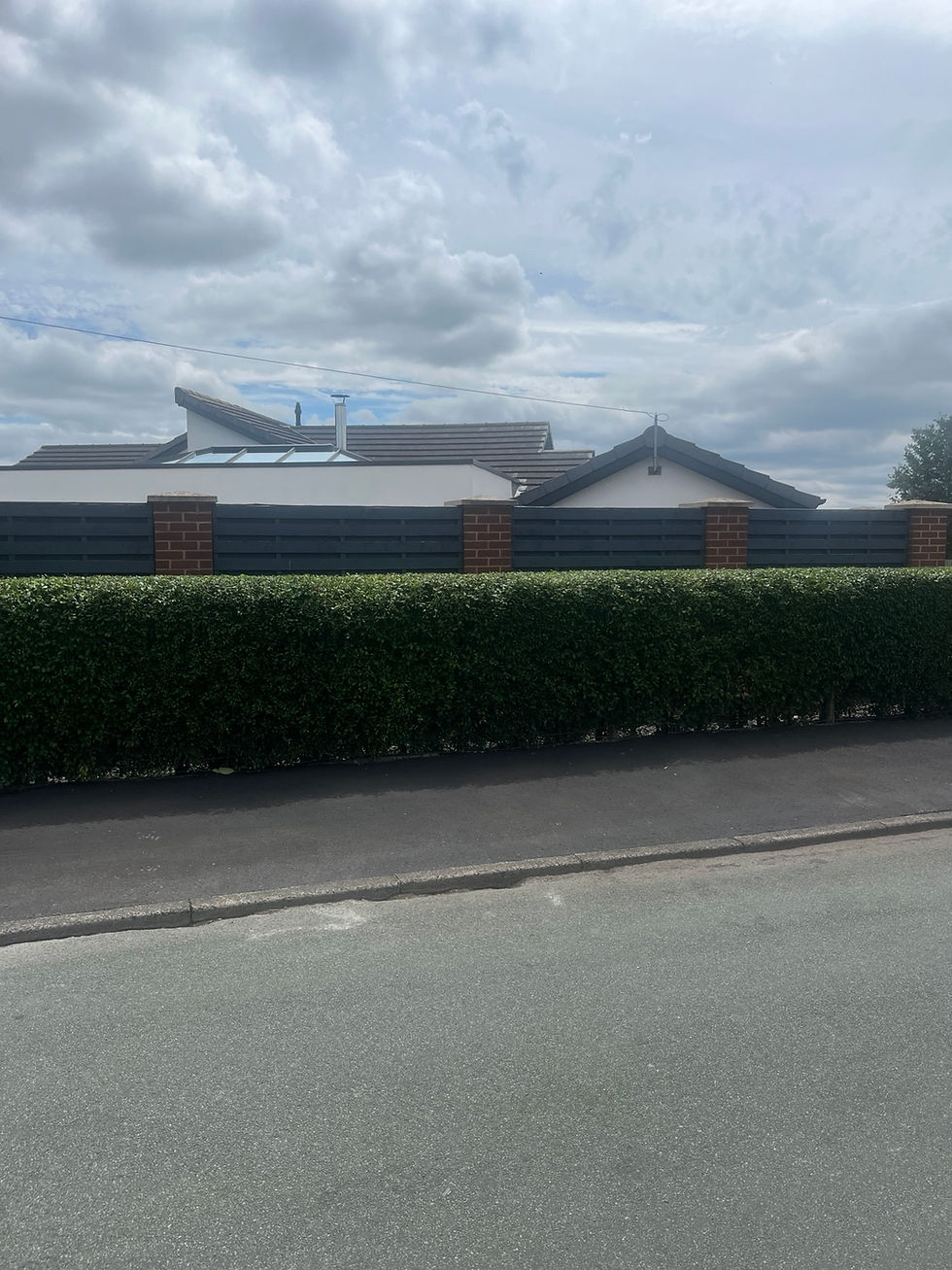 Straight hedge cutting Cannock.jpeg