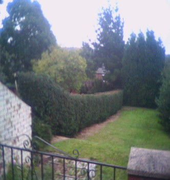 Conifer Hedge Reduction & Green Waste Clearance Cannock