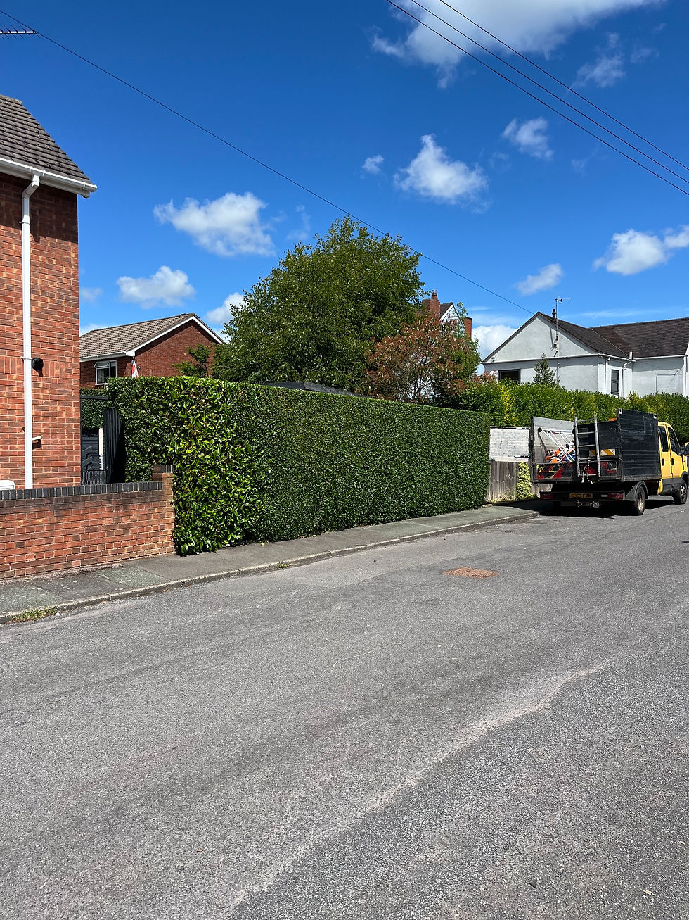 Hedge Trimming Burntwood.jpg