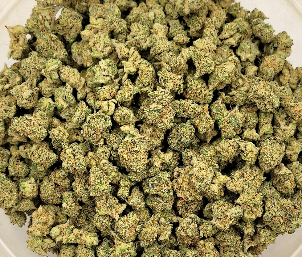 Fast, Reliable Cannabis Delivery in Wildomar, CA – Powered by Today’s Meds