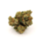 NEW King Louie OG
