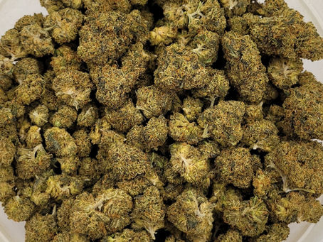 Top-Rated Cannabis Delivery in Murrieta – Brought to You by Today’s Meds