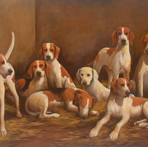 Hounds