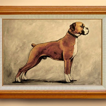 Boxer