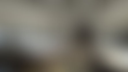 Luxury aircraft configurator : ACJ TwoTwenty | Airbus Corporate Jets