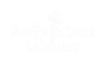 new COMPASS logos (2000 x 2000 px) (2)_e