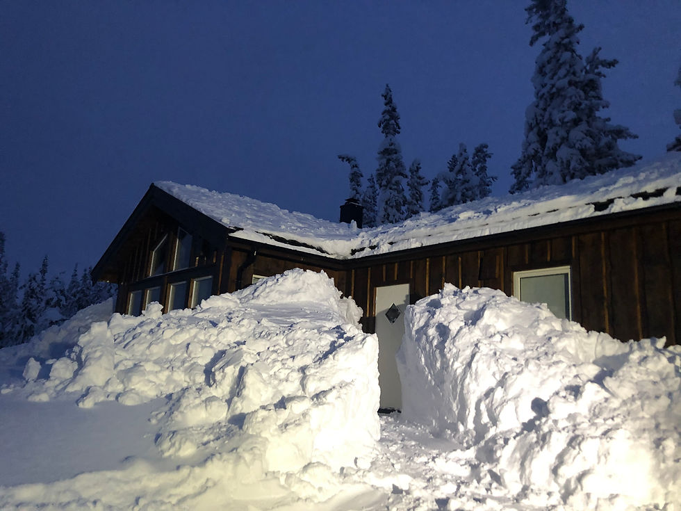 Bilde 02.01.2021, 16 16 49.jpg