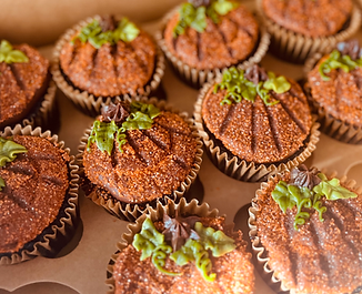 Pumpkin Cupcakes 2.jpg