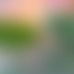 The POWER in Silence