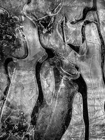 Parvathi Kumar_Ice Abstract.jpeg