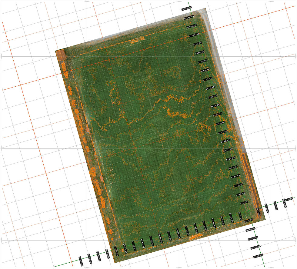 01 Orthophoto_Raster_Sportplatz