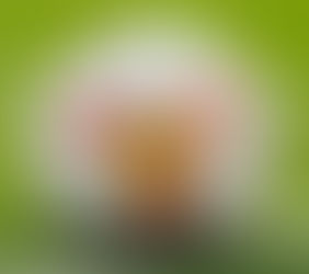 Previa jornada 2. Liga Santander.