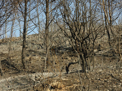 Au sommaire du numéro 2 !