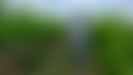 Viticulture, la crise finale ?