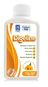 digeline (1).png